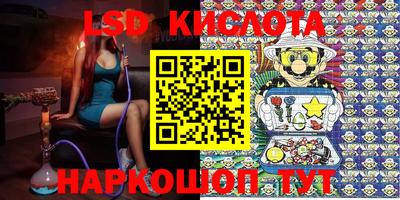 шишки Донской