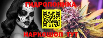 шишки Донской