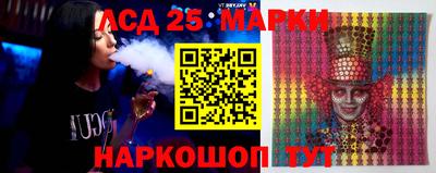 шишки Донской