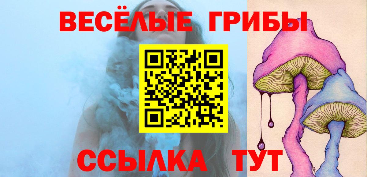 Псилоцибиновые грибы GOLDEN TEACHER Лосино-Петровский