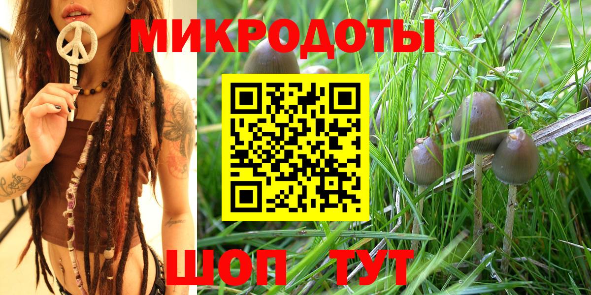 Лосино-Петровский  Псилоцибиновые грибы Psilocybe  Вход с VPN  Галлюциногенные грибы Psilocybe 
